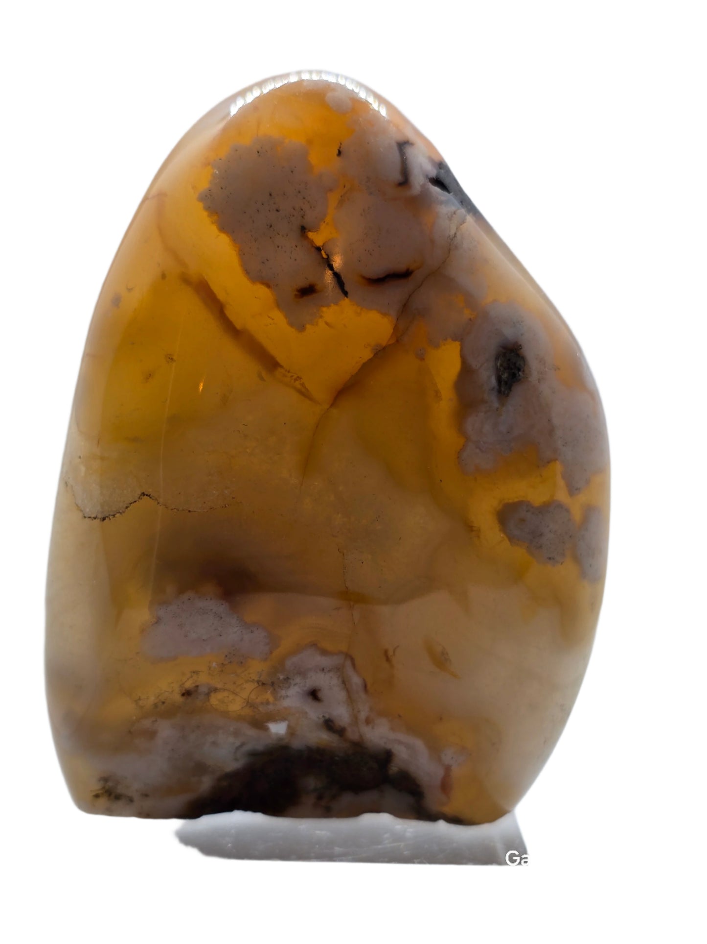 CARNELIAN FLOWERED AGATE FREE FORM