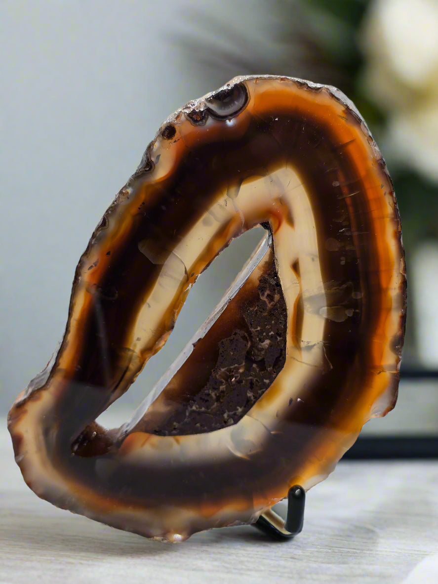 BROWN BANDED AGATE SLICE SPECIMEN